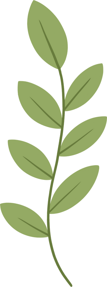 Cartoon Leaves Illustration